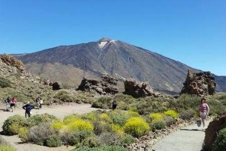 Gfs Home Santa Cruz de Tenerife Eksteriør billede